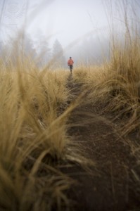 Running Away - a short story