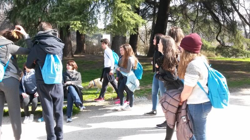 20160312_110949 (800x450)