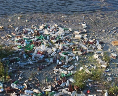 Plastic bottles on a beach