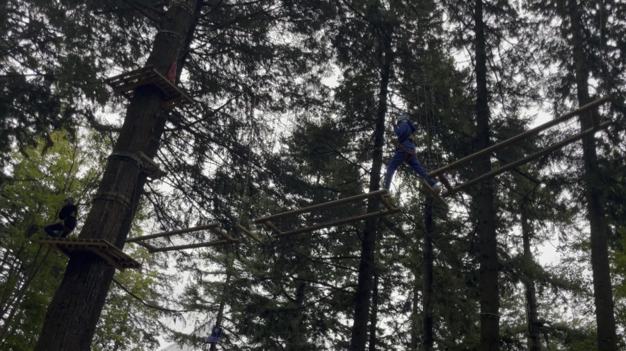 Year 10's school trip to Jungle Raider Park Albavilla